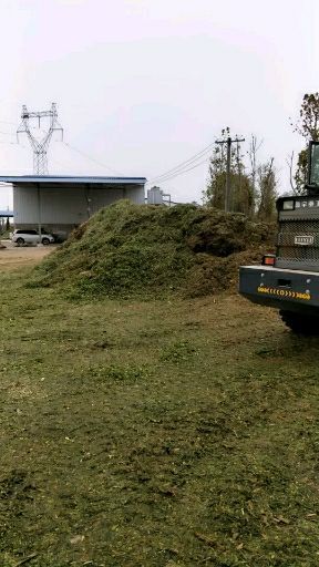 汉川市青储草  今年欠收货已经不多了！