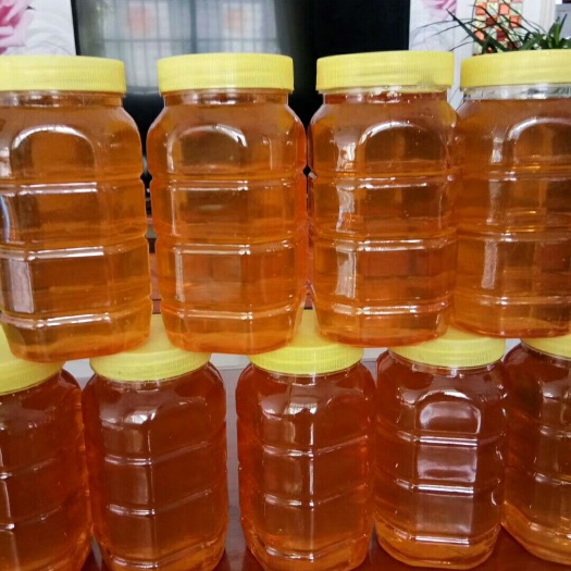 蒙阴县荆条蜜 塑料瓶装  2年
