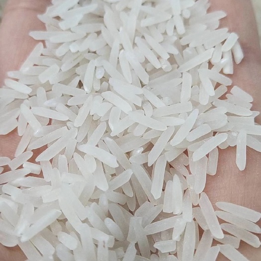 益阳玉针香大米 有机大米 中稻 一等品