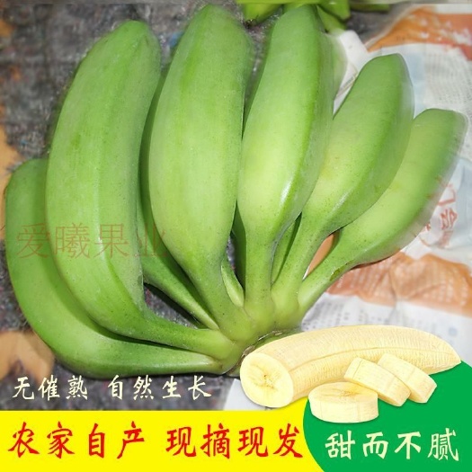 南靖县福建芭蕉酸酸甜甜的口感！非天宝香蕉普通香蕉