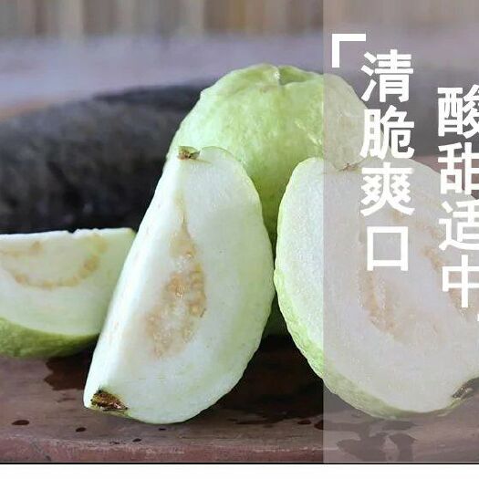 番石榴  福建珍珠芭乐白心芭乐