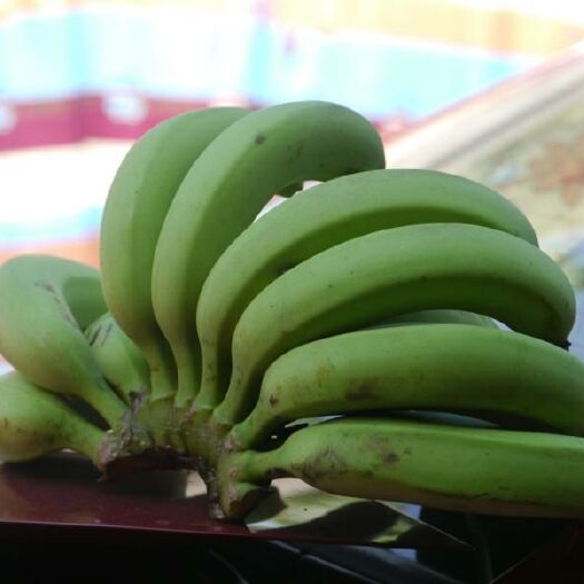 香蕉福建天宝香蕉黄皮普通香蕉非外来香蕉