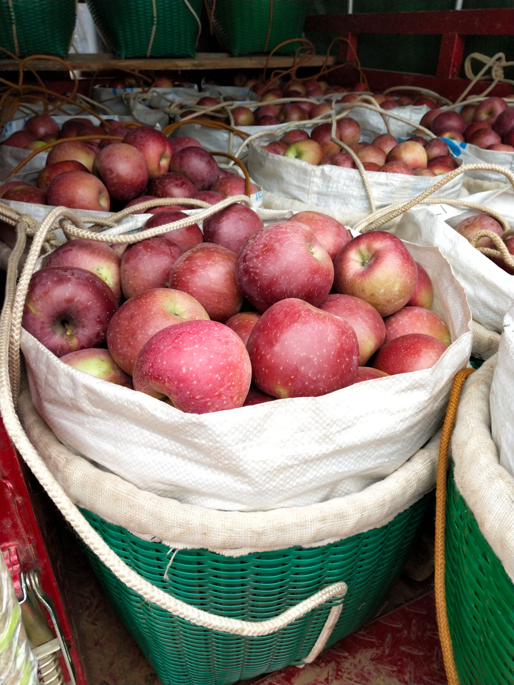 红富士苹果 70mm以上 全红 光果