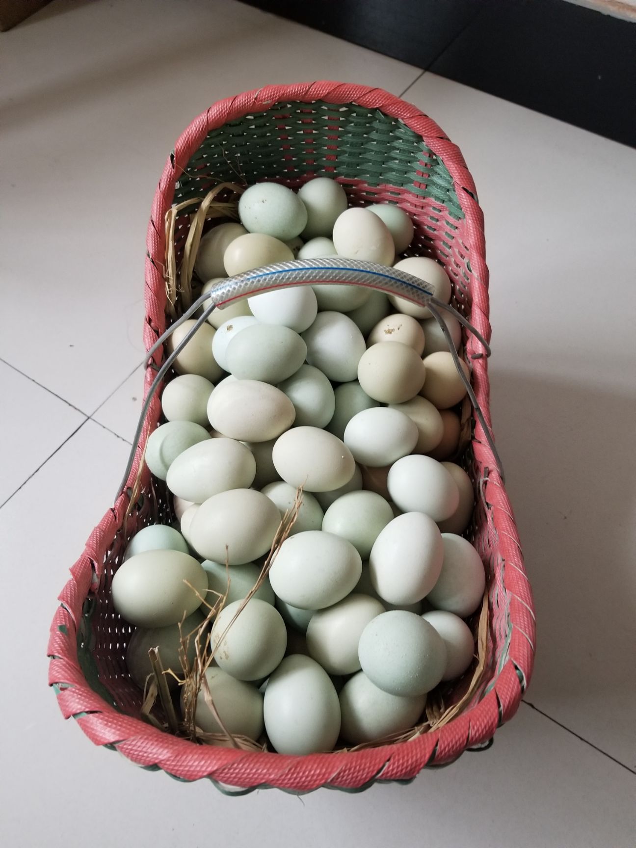 绿壳鸡蛋 食用 箱装 