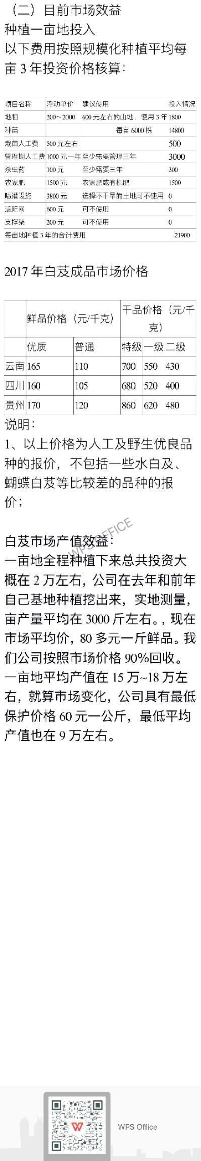 正安县白芨苗