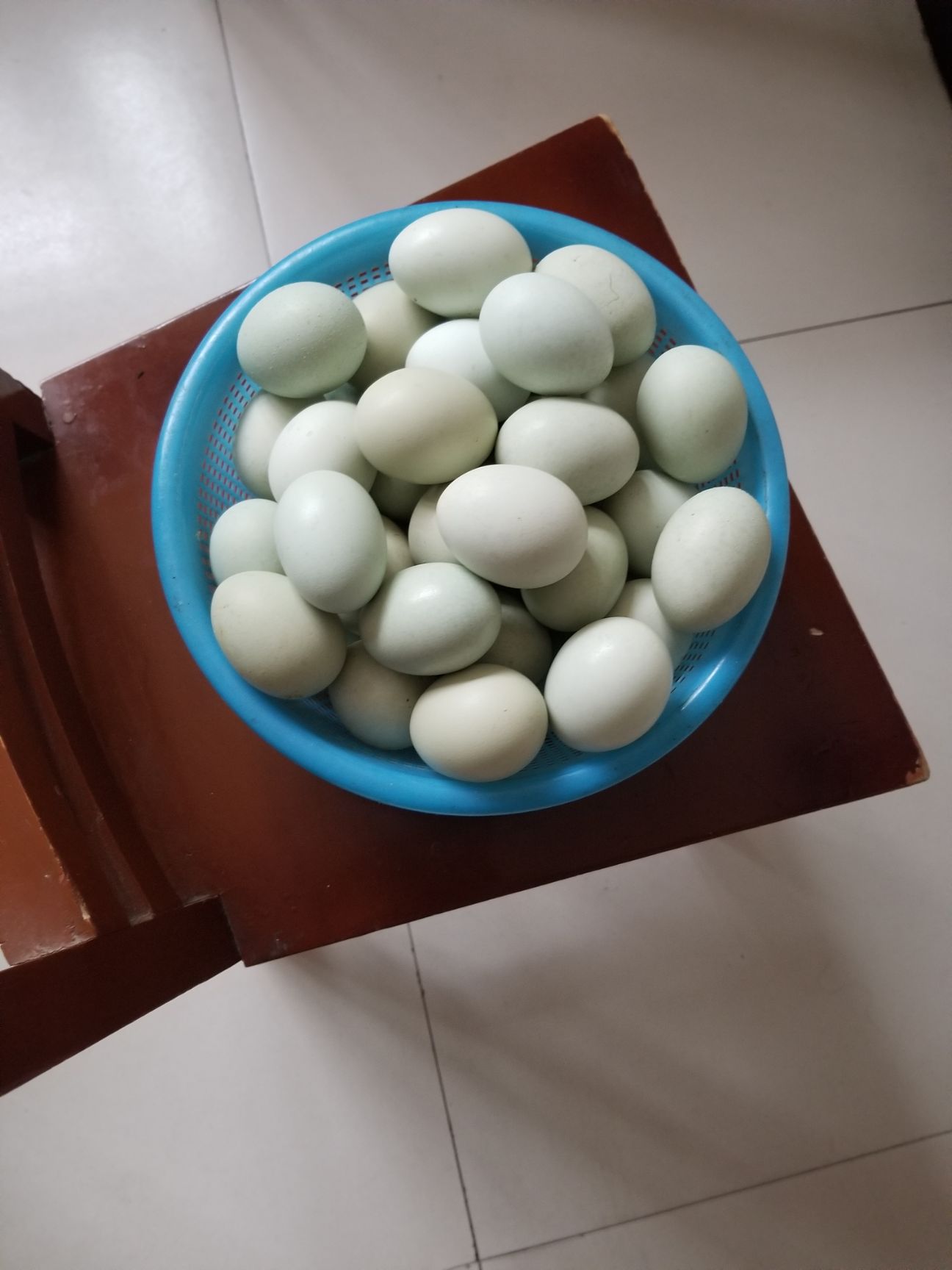 绿壳鸡蛋 食用 箱装 