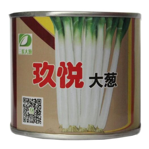 菏泽 晚抽大葱种子日本铁杆葱开花晚基地专用