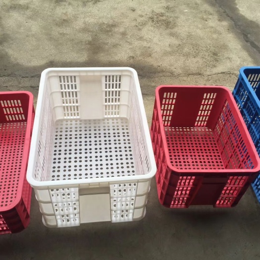 潜江龙虾苗 