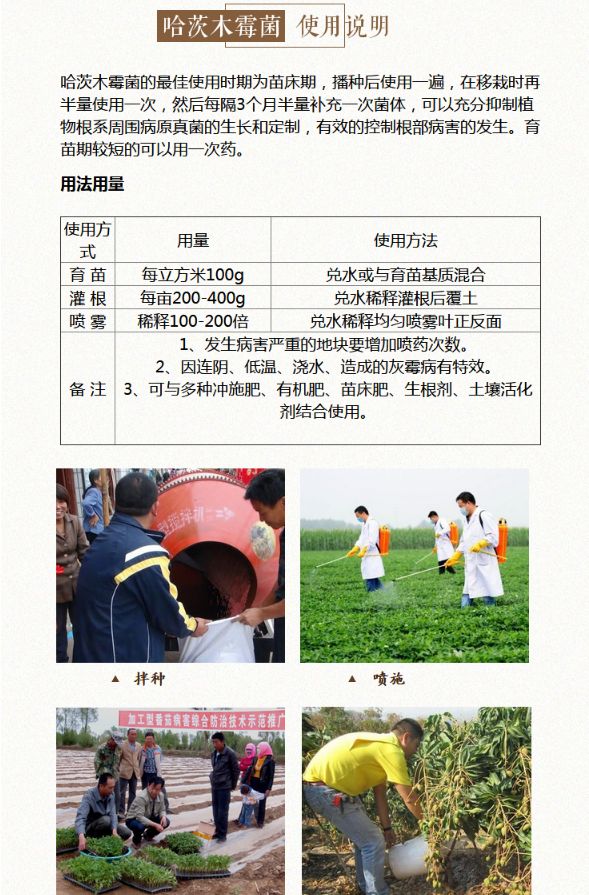 复合微生物菌剂 土传病害克星灰霉病霜霉病