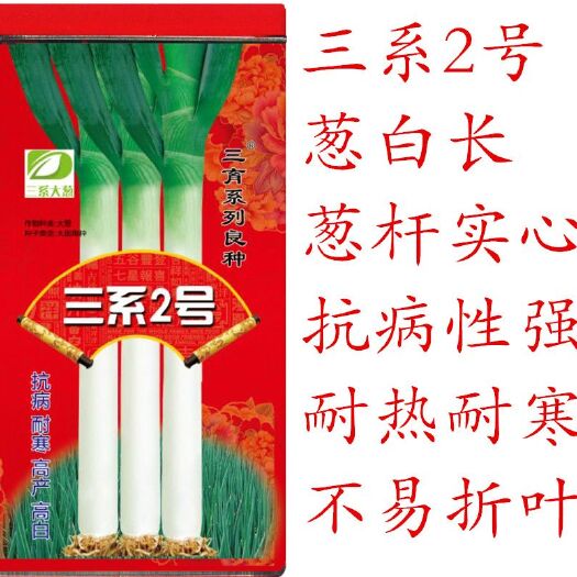 菏泽正宗章丘大葱种子山东大葱长白葱抗病耐寒耐热