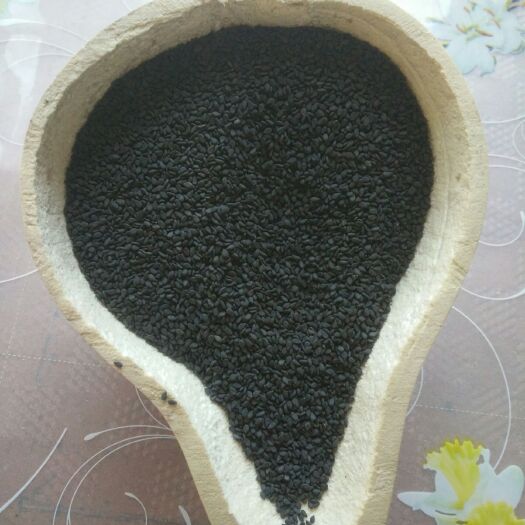 蒙阴县黑芝麻 