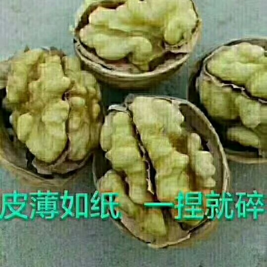 乌鲁木齐薄皮核桃
