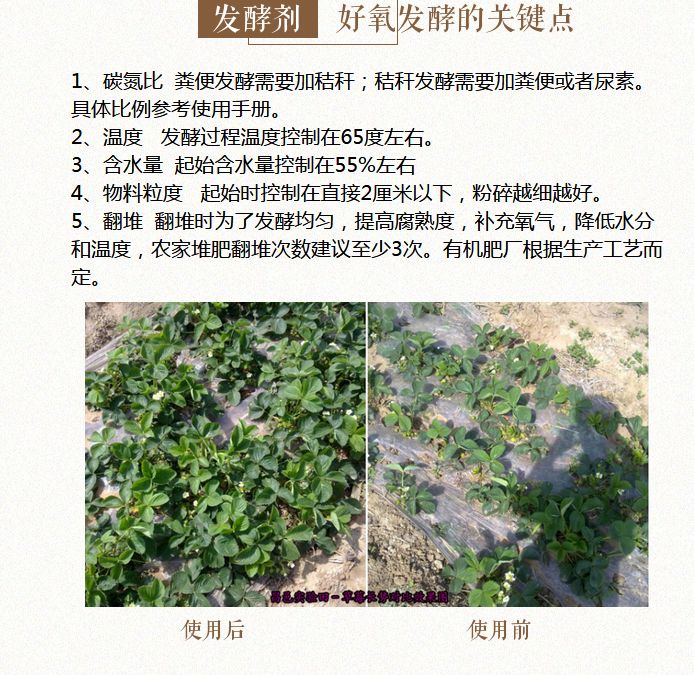 生物菌肥发酵剂