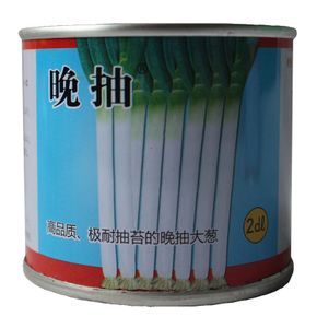 日本大蔥種子  日本晚抽苔大蔥種子抗病強產(chǎn)量高耐熱耐寒