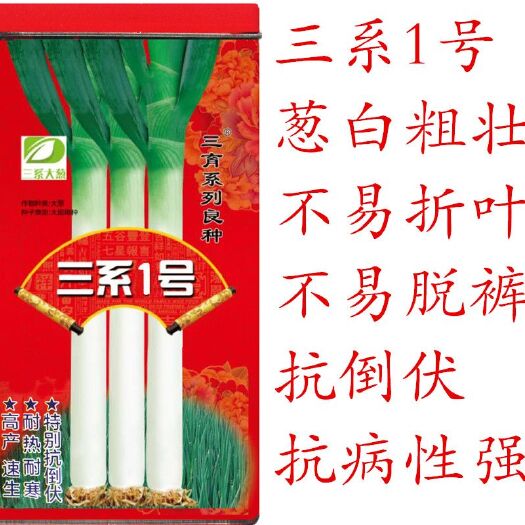 菏泽章丘大葱种子 章丘大葱抗病强抗倒伏不脱裤