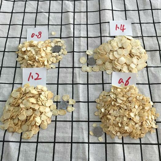 抚松县林下参西洋参