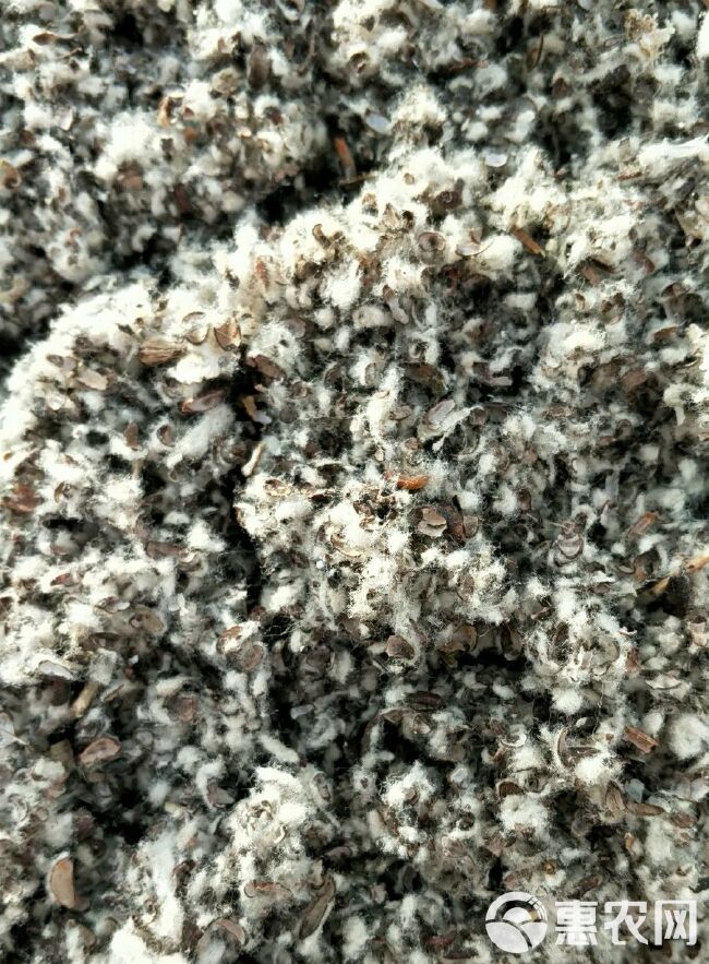 棉籽壳  新疆棉壳、中壳中绒、食用菌栽培原料、种植蘑菇