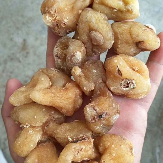 玉林黄精