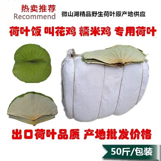 鱼台县荷叶 