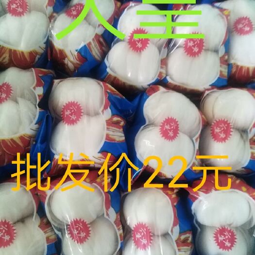 兰州兰州百合 3cm-5cm