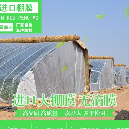 沭阳县长寿流滴膜 加厚塑料布薄膜无滴膜农用透明地膜保温家用大棚膜防晒养殖黑白膜