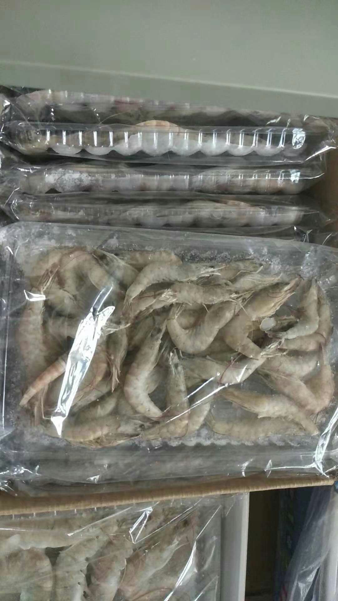 濟南河蝦