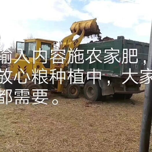 阿旗自磨面粉 自磨面粉
