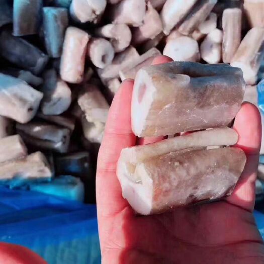 济南海鳗 人工养殖 80cm以上 冷冻水产 2公斤以上