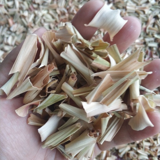 防城港干香茅，烘干香茅茎