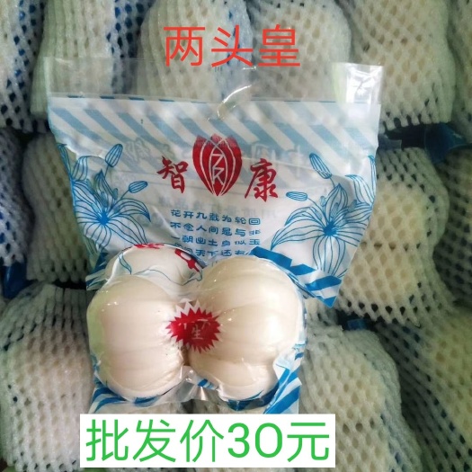 兰州兰州百合 3cm-5cm