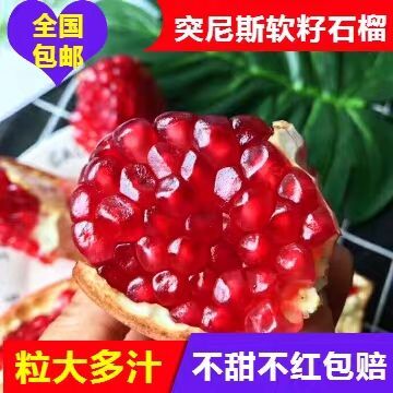 荥阳市河阴石榴 0.6 - 0.8斤