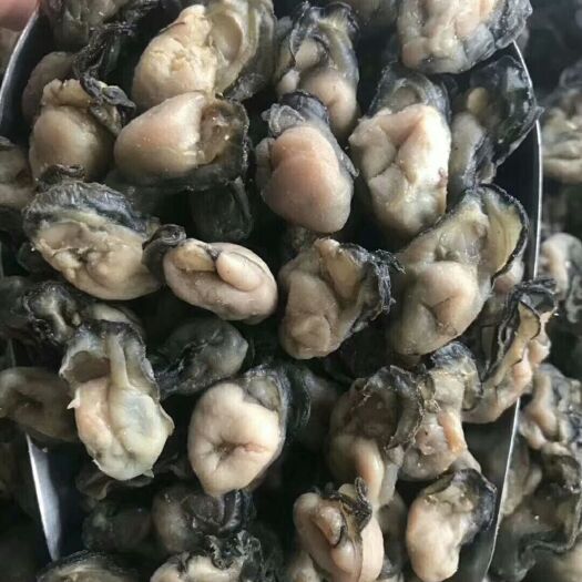 饶平县海蛎干