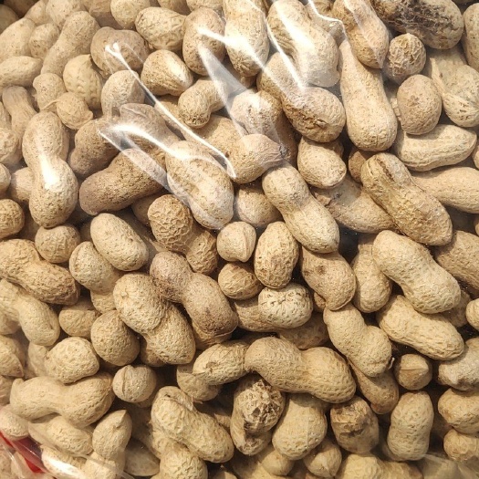 大名县炒花生