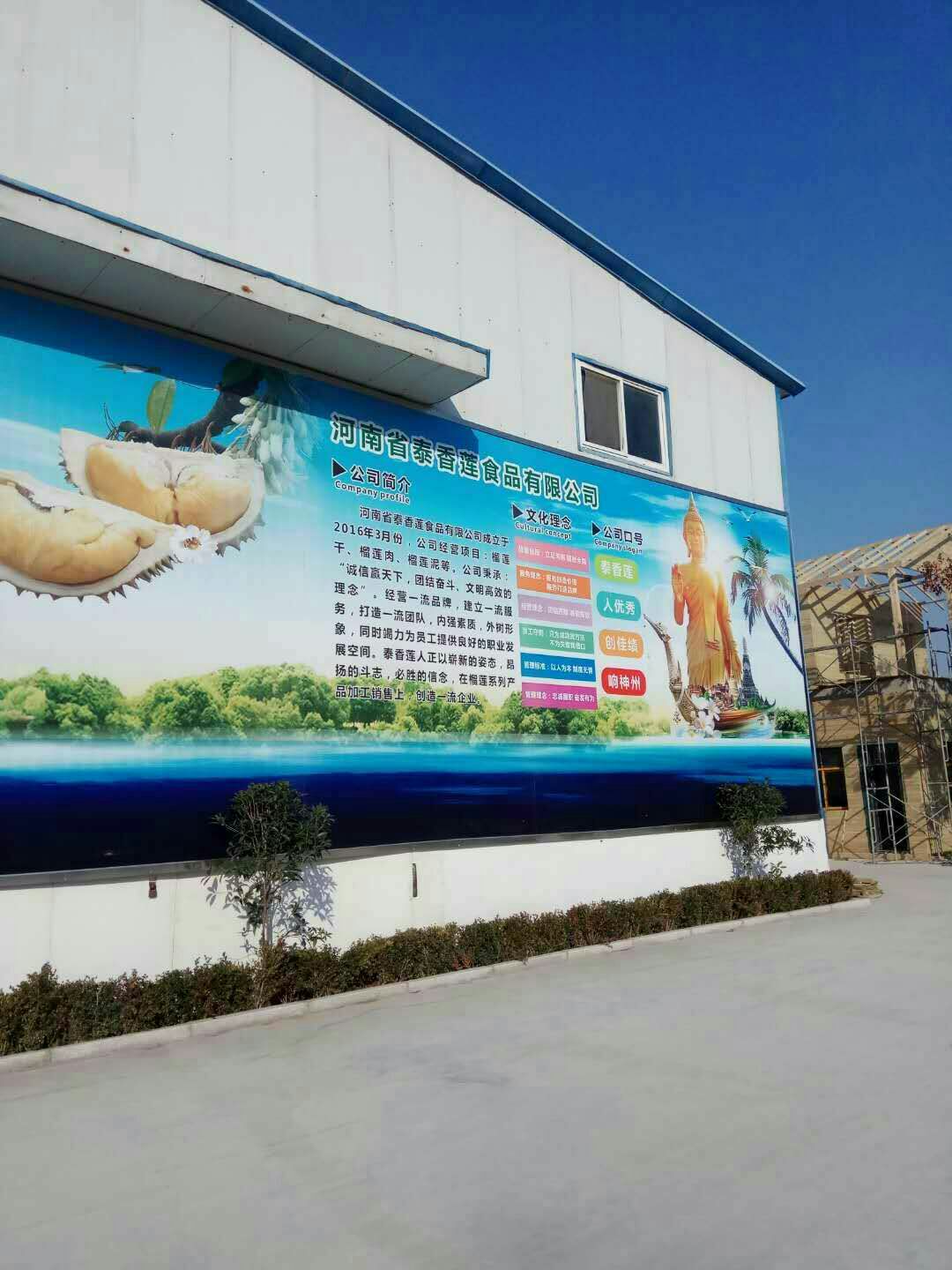  泰国金枕头280克纯榴莲果肉