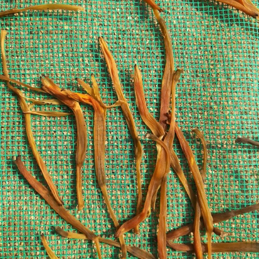 新泰市黄花菜干 24个月以上