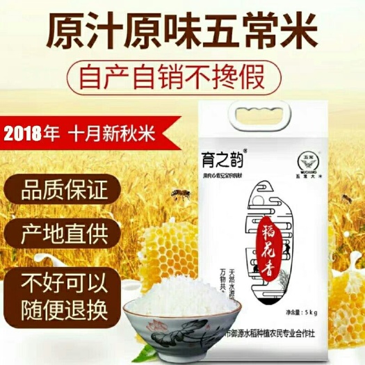 五常市东北大米 有机大米 中稻 一等品 