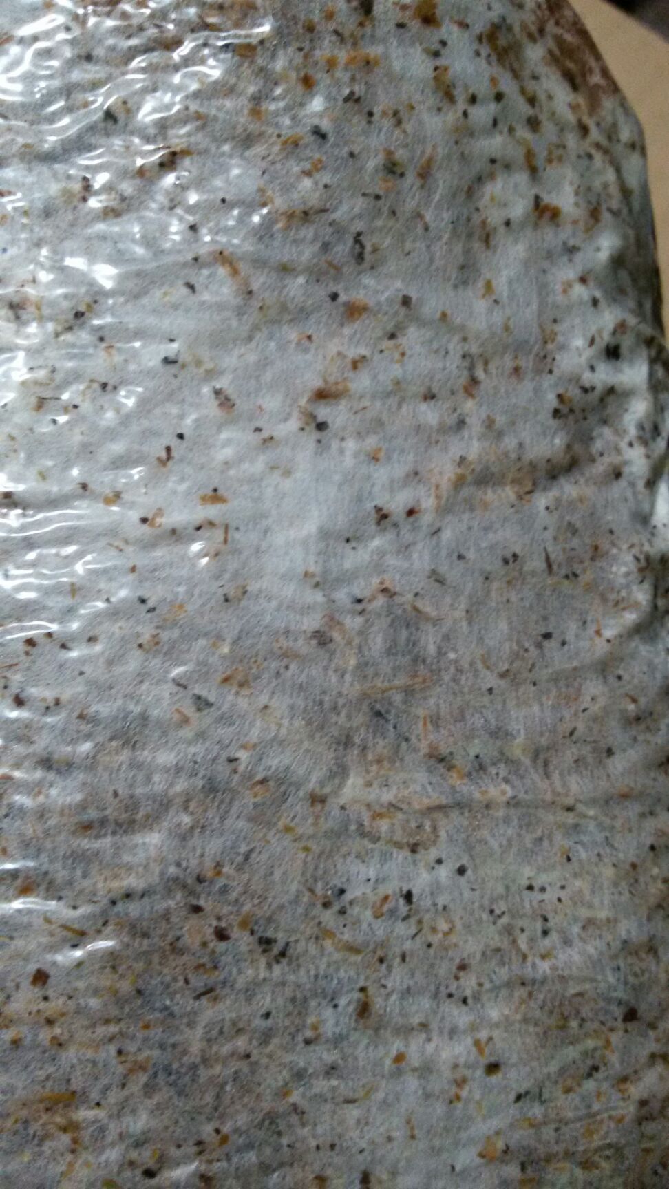 白草菇菌种相对耐低温更适合袋栽出菇快口感佳产量高