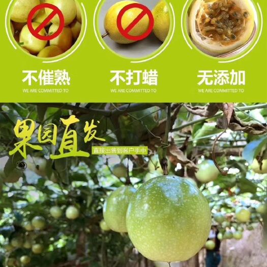 紫金县黄金百香果 90 - 100克