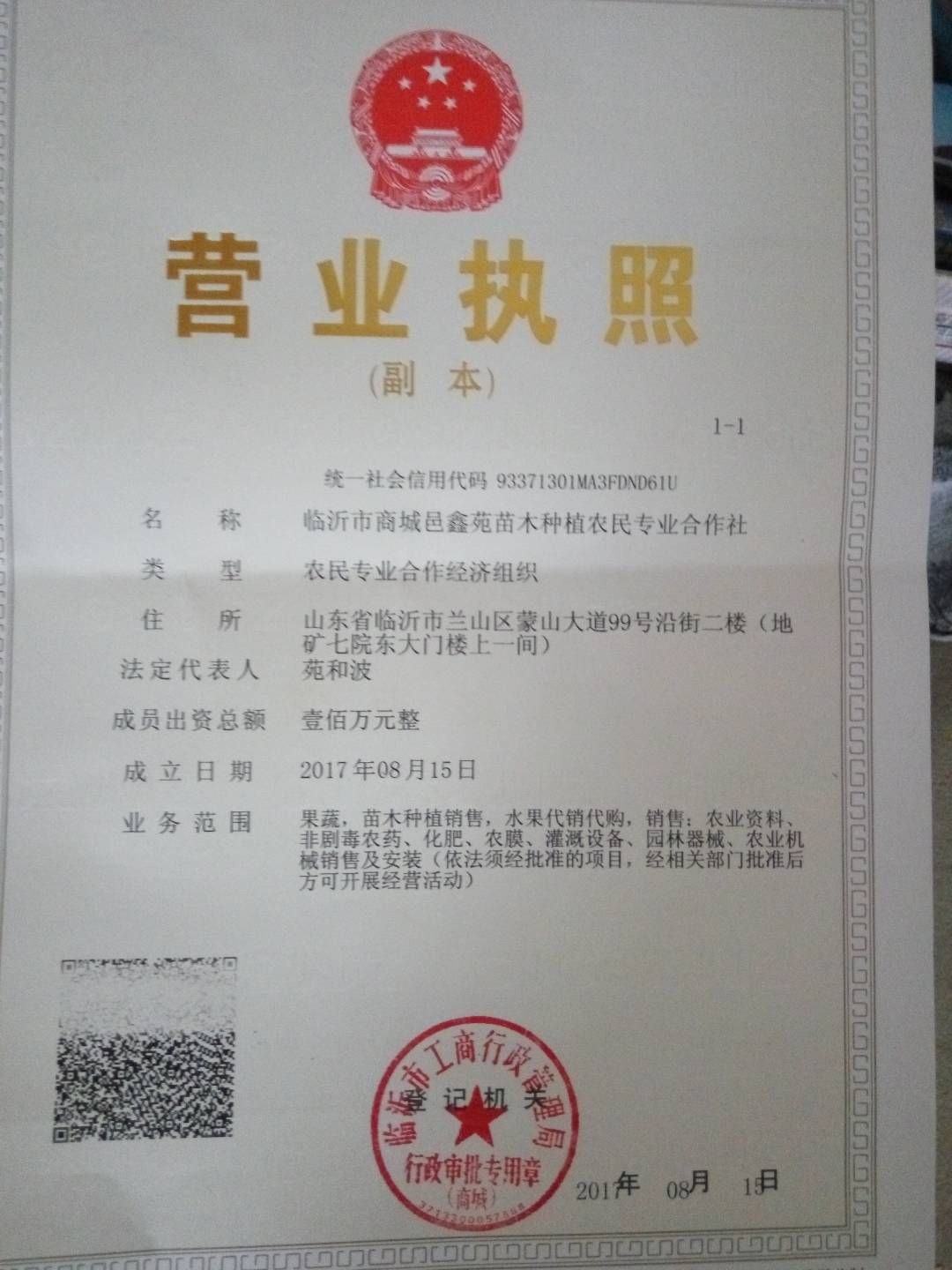 帅师香桃苗 国庆节熟的优良品种帅师香