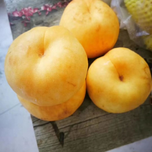 昌乐县中油蟠7号桃苗 1.5~2.0米