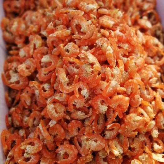 山东渤海  海米虾仁原干米个头大淡干原产地无中间商保质保量