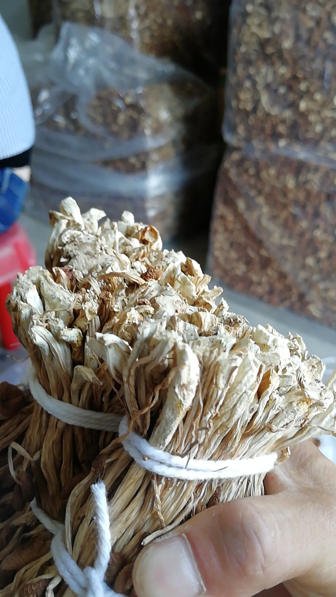 广昌茶树菇2020年新货