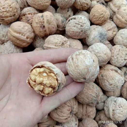 西安薄皮核桃