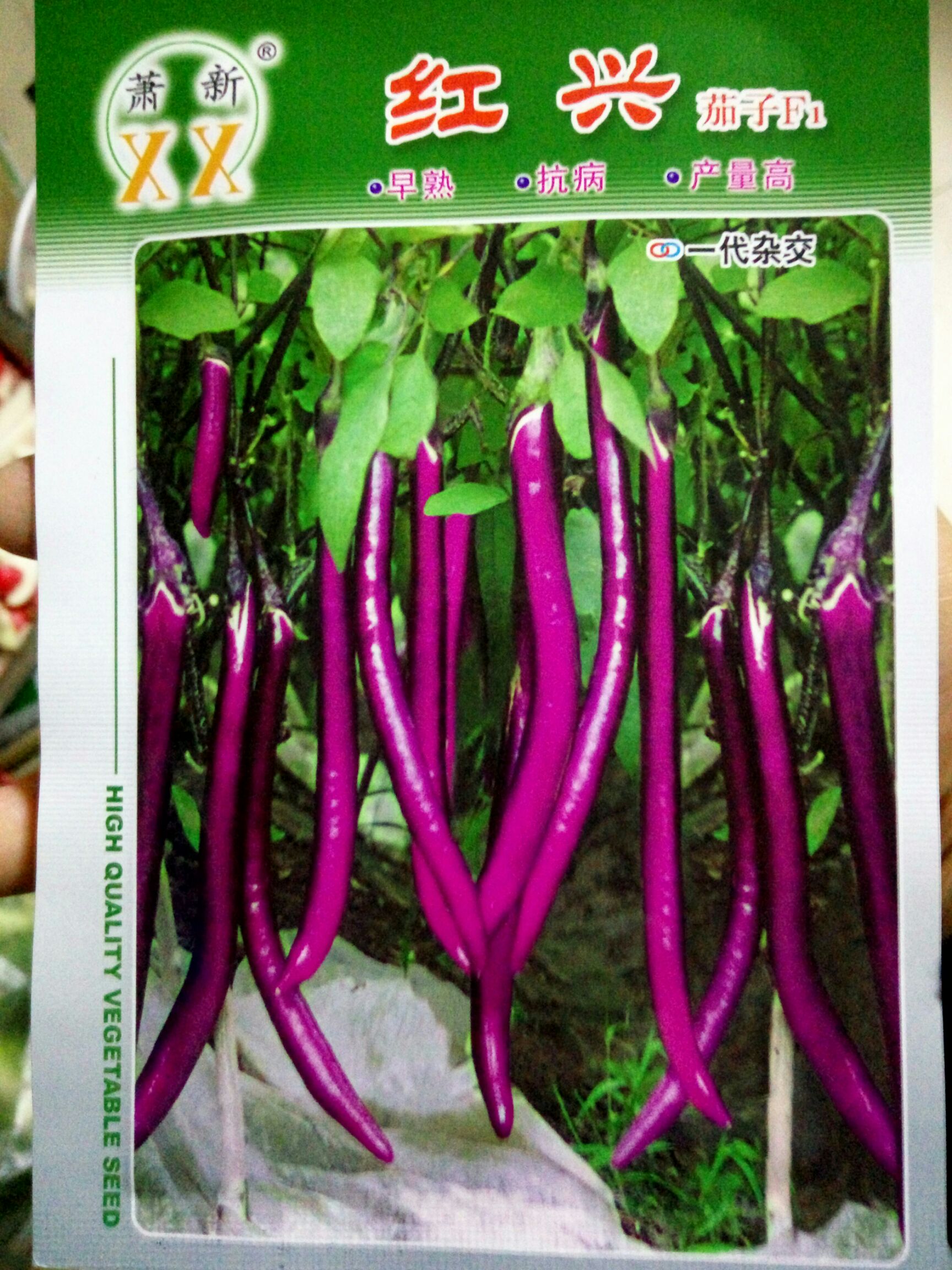 沭阳县茄子种子 杂交种 ≥95% 