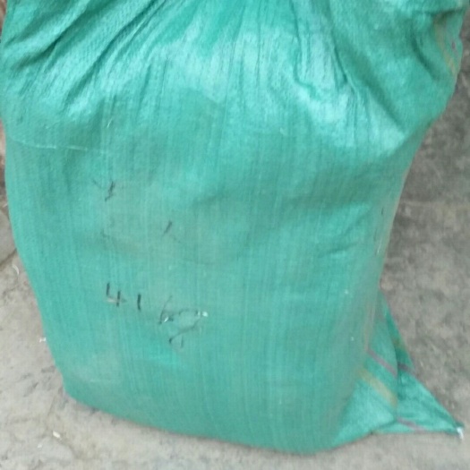 岷县提摩西草 19特级优质干草兔兔龙猫荷兰猪主草多省包邮