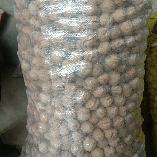 棉核桃 