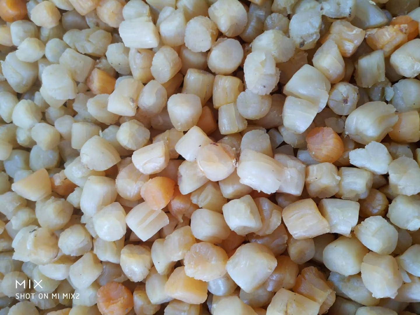 扇贝干哪里有卖 - 扇贝干货源 -扇贝干图片\/价格