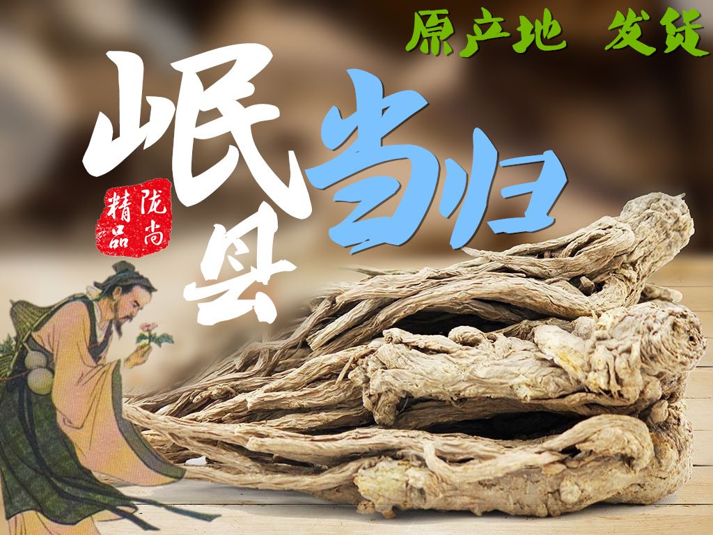 岷当归 