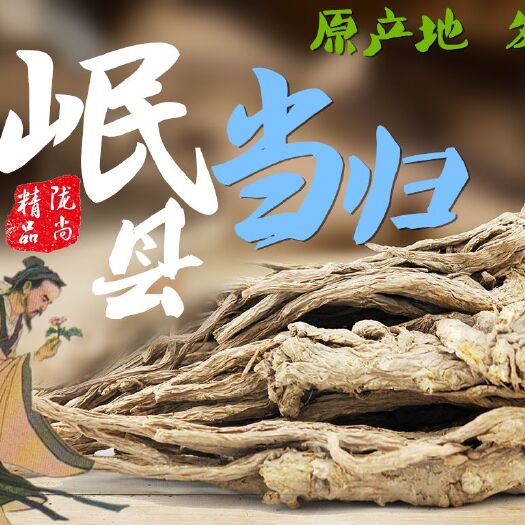 岷县岷当归 
