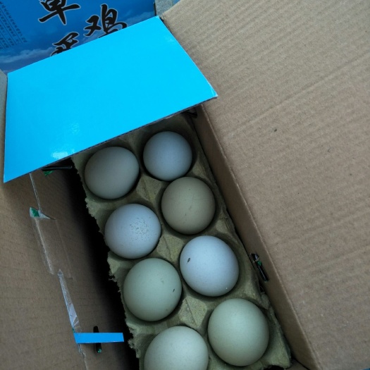 泰兴市土鸡蛋 食用 礼盒装